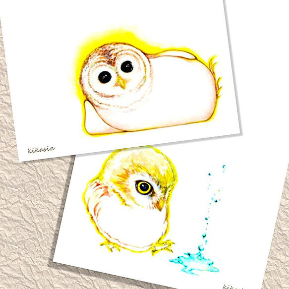 【ふくろうの休日】ポストカード２柄組 1枚目の画像