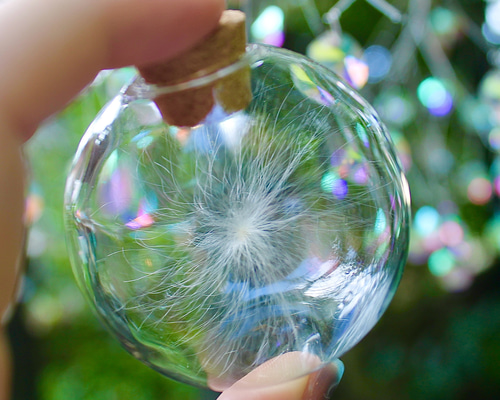 New! ケサランパサランⅡ 丸瓶 送料無料 ※発送日程要確認 その他