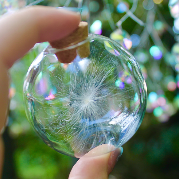 ケサランパサラン ケサランパサラン / L | サトウカヨ