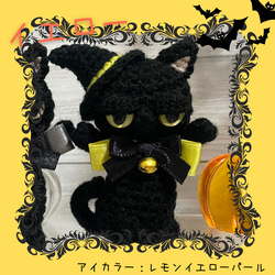 選べるぺったんこ★やさぐれ黒猫ハロウィン＊あみぐるみ【受注製作品】 6枚目の画像