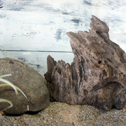 手彫り！ 水晶 魚を捕った招きねこ 置物 素敵な逸品 その他インテリア