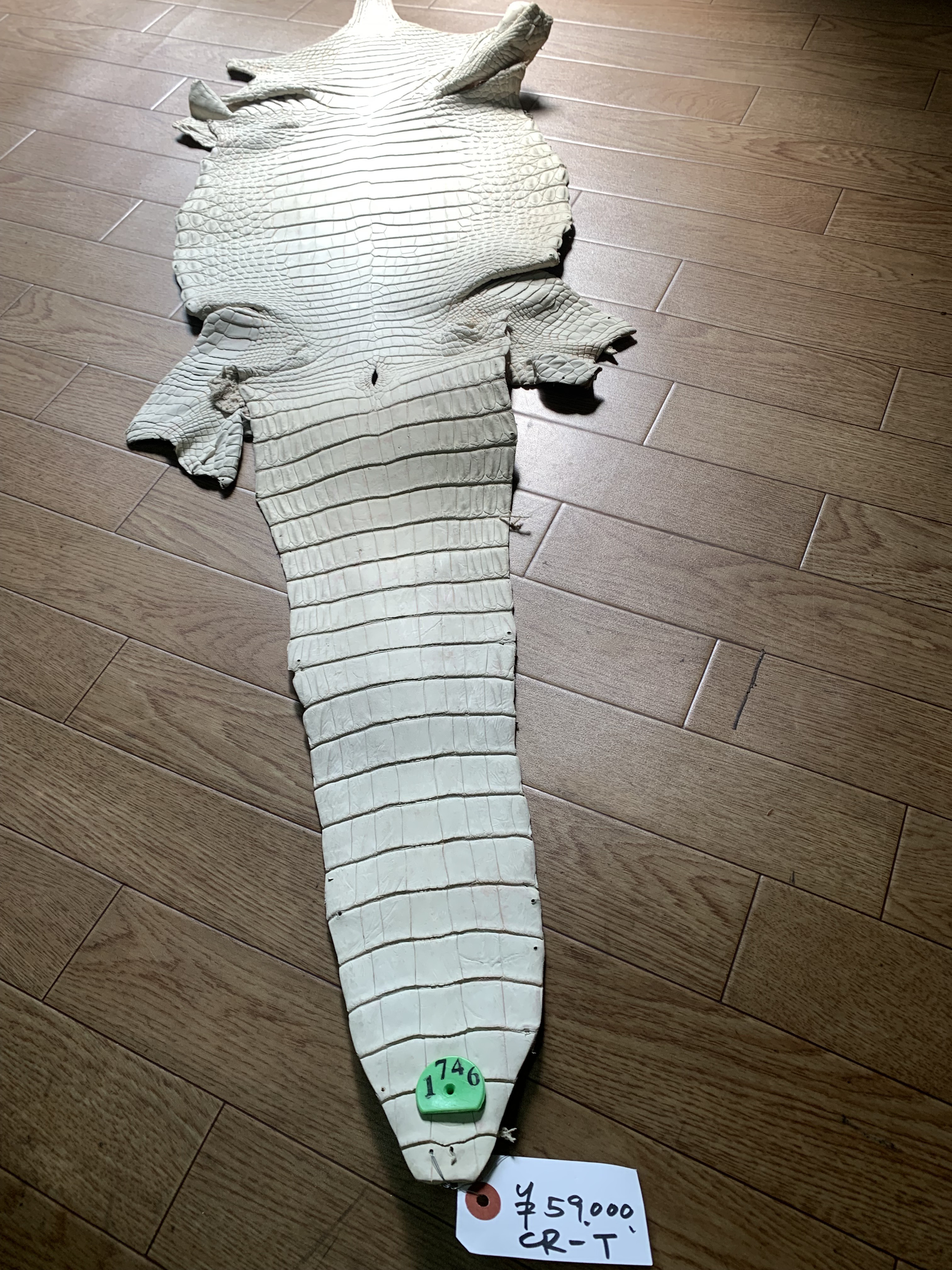 クロコダイル　アイボリー　厚さ1.8から2.0ミリ