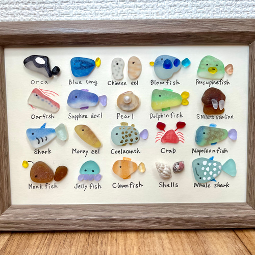 シーグラスアートNo.172☆図鑑 海の生き物5×4 雑貨 置物