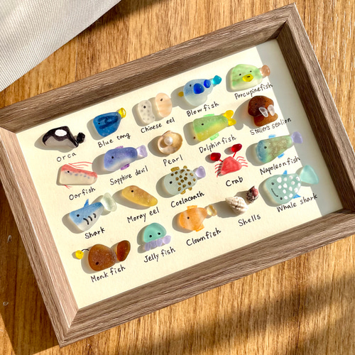 シーグラスアートNo.172☆図鑑 海の生き物5×4 雑貨 置物 ヒーリング