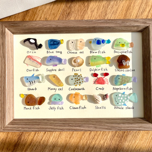 シーグラスアート☆No.399 図鑑　海の生き物　ギフト　プレゼント インテリア シーグラスアート☆No.399 図鑑 海の生き物 ギフト プレゼント