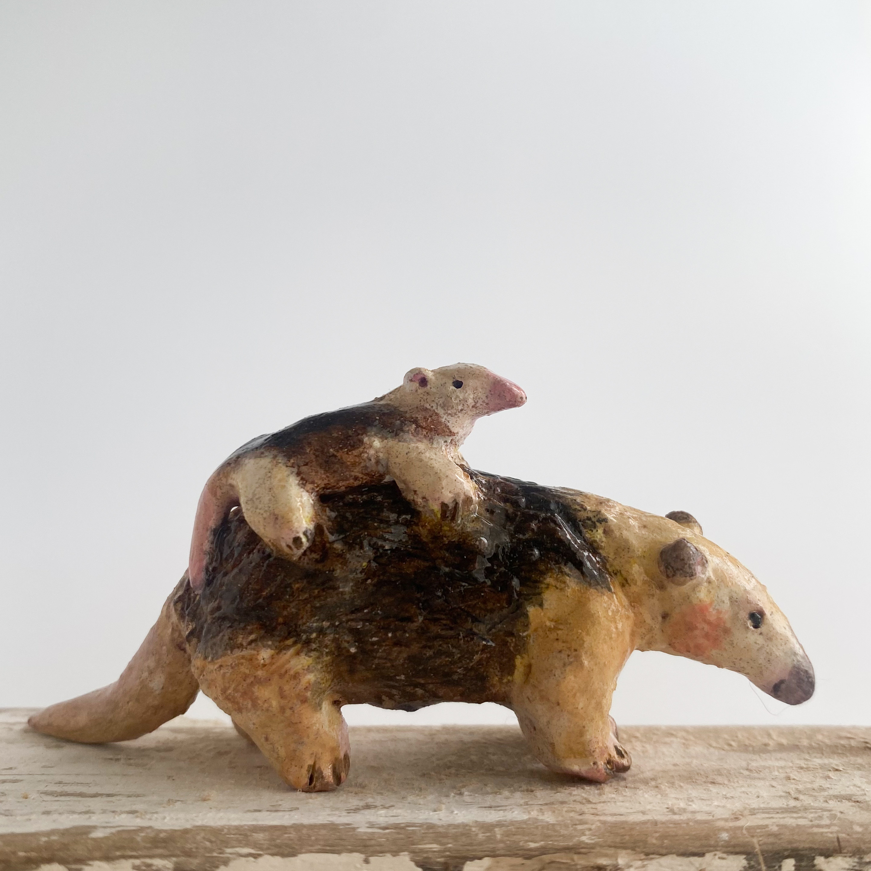 アリクイの親子