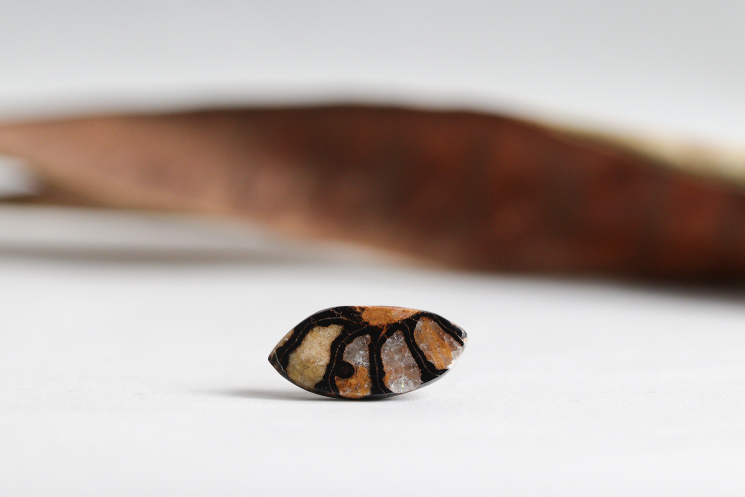 K14｜Fossilia｜アンモナイトのシングルスタッドピアス（片耳）B