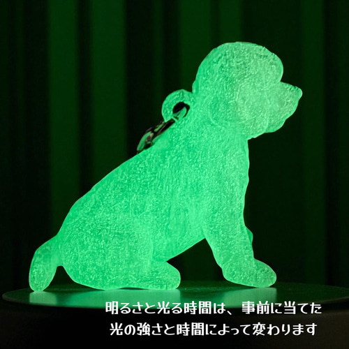 マルチーズ 夜光キーホルダー 蓄光 光る 犬好きプレゼント 3D