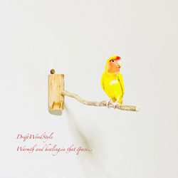 流木インテリア 40ｃｍの流木枝を使った小鳥の止まり木 インコの壁掛けパーチ ピン止めタイプ ビス止め変更可 N1 2枚目の画像