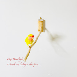 流木インテリア 40ｃｍの流木枝を使った小鳥の止まり木 インコの壁掛けパーチ ピン止めタイプ ビス止め変更可 N1 3枚目の画像