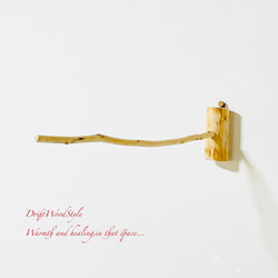 流木インテリア 40ｃｍの流木枝を使った小鳥の止まり木 インコの壁掛けパーチ ピン止めタイプ ビス止め変更可 N1 9枚目の画像