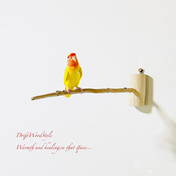 流木インテリア 40ｃｍの流木枝を使った小鳥の止まり木 インコの壁掛けパーチ ピン止めタイプ ビス止め変更可 N3 4枚目の画像