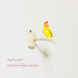 流木インテリア 40ｃｍの流木枝を使った小鳥の止まり木 インコの壁掛けパーチ ピン止めタイプ ビス止め変更可 N3 2枚目の画像