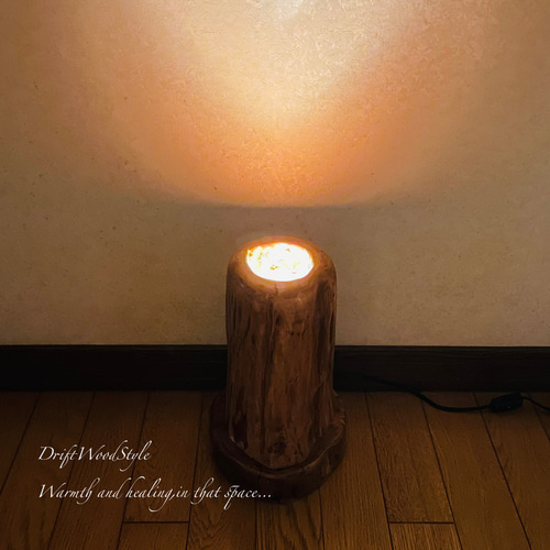 芯を切り抜かれた流木の間接照明 LEDライト フロアライト 照明 切り株