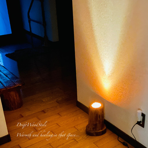 芯を切り抜かれた流木の間接照明 LEDライト フロアライト 照明