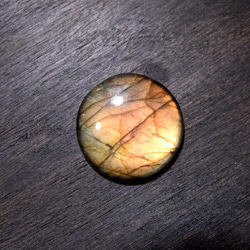 ヤギの角 左右セット その他素材 material-mine 通販 3334027