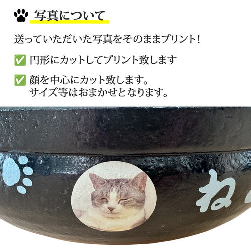 送料無料】猫鍋 ひんやり 名入れ わが家の本格 ねこ鍋 to800 最速 鍋