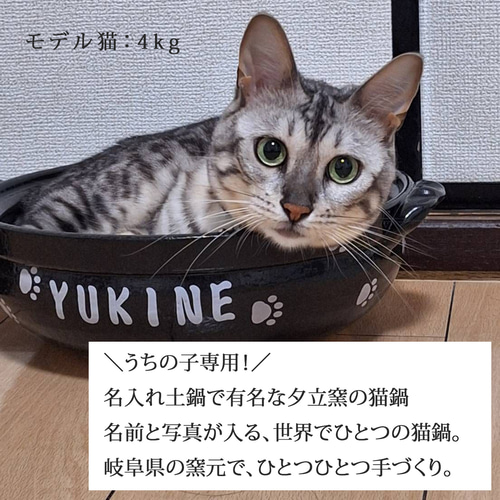 送料無料】猫鍋 ひんやり 名入れ わが家の本格 ねこ鍋 to800 最速 鍋
