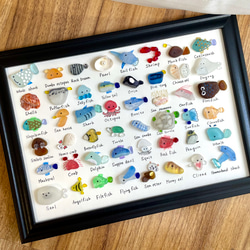 シーグラスアート☆No153 図鑑 ギフト プレゼント 父の日 海の