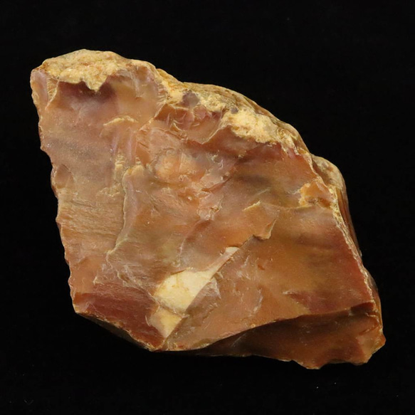 ペトリウッド　高品質　スフィア　かわいい　レア ペトリウッド 高品質 スフィア かわいい レア ペトリファイド