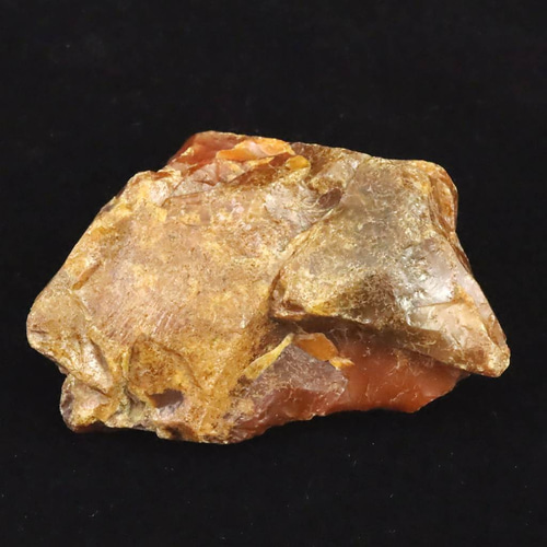 北海道幌加内町 ペトリファイドウッド 珪化木 75mm原石 134.5g #86281