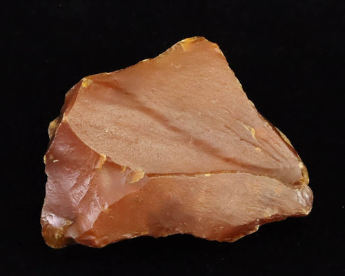 p2★特選一連★希少☆木化石【13mmペトリファイドウッド珪化木ラウンド連】❤️ p2☆特選一連☆希少☆木化石【13mmペトリファイドウッド珪化木ラウンド