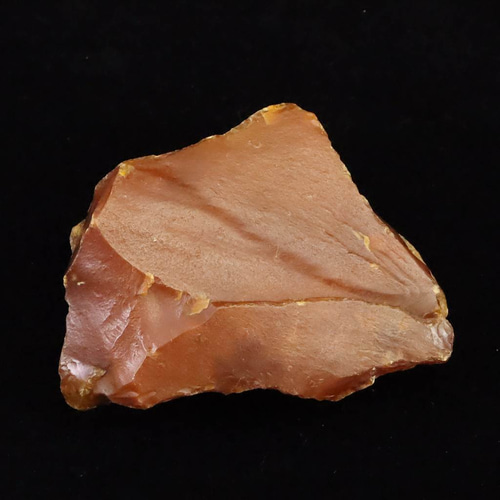 北海道幌加内町 ペトリファイドウッド 珪化木 75mm原石 134.5g #86281