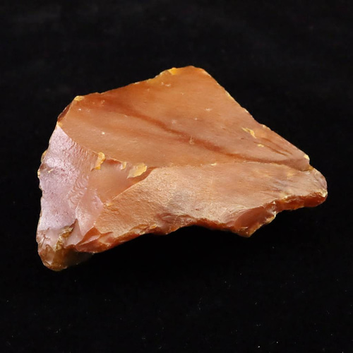 北海道幌加内町 ペトリファイドウッド 珪化木 75mm原石 134.5g #86281