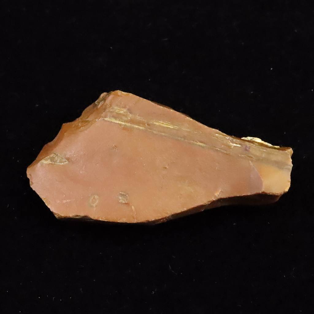 北海道幌加内町　ペトリファイドウッド 珪化木  68mm原石 45.3g  #31275