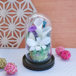 仏花ガラスドーム対小ポンポン菊プリザーブドフラワー 仏花ガラスドーム対小ポンポン菊プリザーブドフラワー - メルカリ