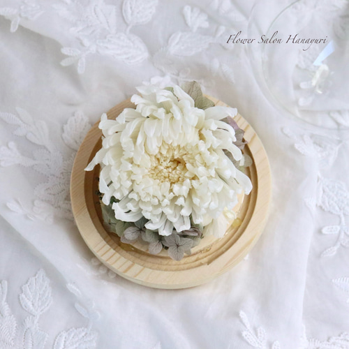 プリザーブドフラワー LEDライト付き ガラスドーム 輪菊 白 仏花