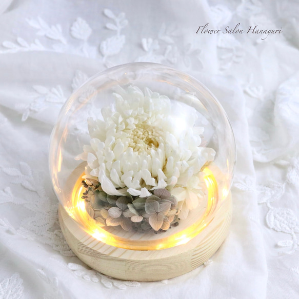 プリザーブドフラワー LEDライト付き ガラスドーム 輪菊 白 仏花