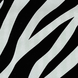 《送料無料》コスメポーチ ゼブラ柄LGL 10枚目の画像