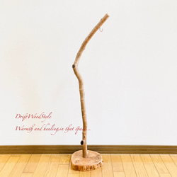 流木インテリア 美しい曲線を描く流木スタンド ランタンやエアプラントを飾れる置物 北欧 照明 木材 癒し N101 13枚目の画像