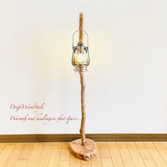 流木インテリア 美しい曲線を描く流木スタンド ランタンやエアプラントを飾れる置物 北欧 照明 木材 癒し N101 6枚目の画像