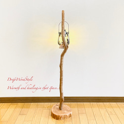 流木インテリア 美しい曲線を描く流木スタンド ランタンやエアプラントを飾れる置物 北欧 照明 木材 癒し N101 12枚目の画像