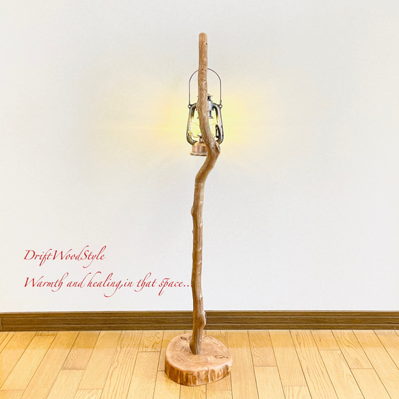 流木インテリア 美しい曲線を描く流木スタンド ランタンやエアプラントを飾れる置物 北欧 照明 木材 癒し N101 12枚目の画像
