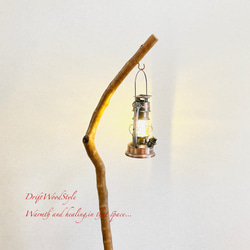 流木インテリア 美しい曲線を描く流木スタンド ランタンやエアプラントを飾れる置物 北欧 照明 木材 癒し N101 5枚目の画像