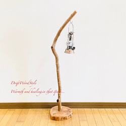 流木インテリア 美しい曲線を描く流木スタンド ランタンやエアプラントを飾れる置物 北欧 照明 木材 癒し N101 3枚目の画像