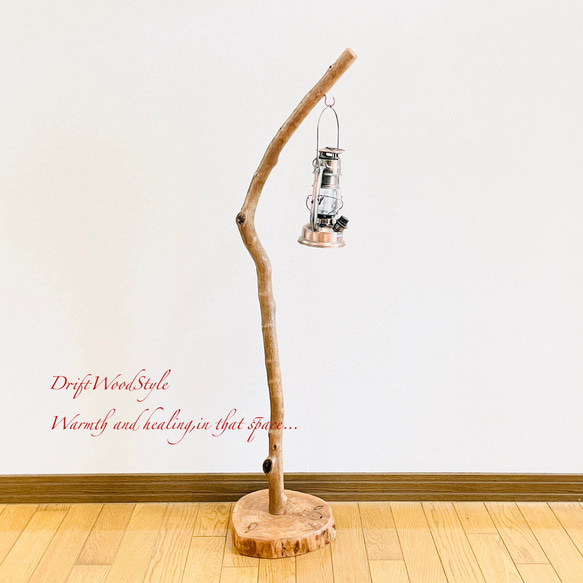 流木インテリア 美しい曲線を描く流木スタンド ランタンやエアプラントを飾れる置物 北欧 照明 木材 癒し N101 3枚目の画像