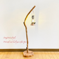 流木インテリア 美しい曲線を描く流木スタンド ランタンやエアプラントを飾れる置物 北欧 照明 木材 癒し N101 1枚目の画像