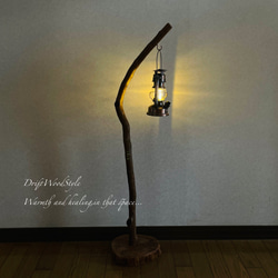 流木インテリア 美しい曲線を描く流木スタンド ランタンやエアプラントを飾れる置物 北欧 照明 木材 癒し N101 2枚目の画像