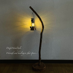 流木インテリア 美しい曲線を描く流木スタンド ランタンやエアプラントを飾れる置物 北欧 照明 木材 癒し N101 10枚目の画像