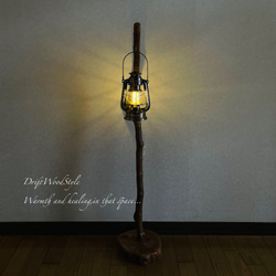 流木インテリア 美しい曲線を描く流木スタンド ランタンやエアプラントを飾れる置物 北欧 照明 木材 癒し N101 7枚目の画像