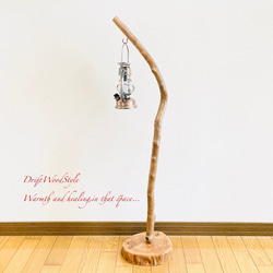 流木インテリア 美しい曲線を描く流木スタンド ランタンやエアプラントを飾れる置物 北欧 照明 木材 癒し N101 11枚目の画像