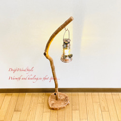 流木インテリア 美しい曲線を描く流木スタンド ランタンやエアプラントを飾れる置物 北欧 照明 木材 癒し N101 4枚目の画像