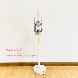 流木インテリア 無垢の流木を磨いた白い流木スタンド ランタンやエアプラントを飾れる置物 北欧 照明 N102 8枚目の画像