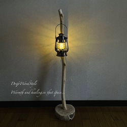 流木インテリア 無垢の流木を磨いた白い流木スタンド ランタンやエアプラントを飾れる置物 北欧 照明 N102 7枚目の画像