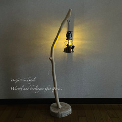 流木インテリア 無垢の流木を磨いた白い流木スタンド ランタンやエアプラントを飾れる置物 北欧 照明 N102 2枚目の画像