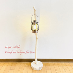 流木インテリア 無垢の流木を磨いた白い流木スタンド ランタンやエアプラントを飾れる置物 北欧 照明 N102 6枚目の画像